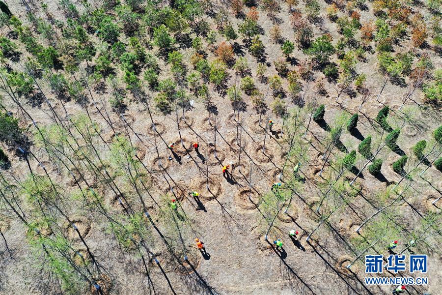 （新華全媒頭條&middot;圖文互動(dòng)）（5）雄安畫卷徐徐鋪展　&ldquo;未來之城&rdquo;蓄勢待發(fā)&mdash;&mdash;雄安新區(qū)設(shè)立三周年巡禮