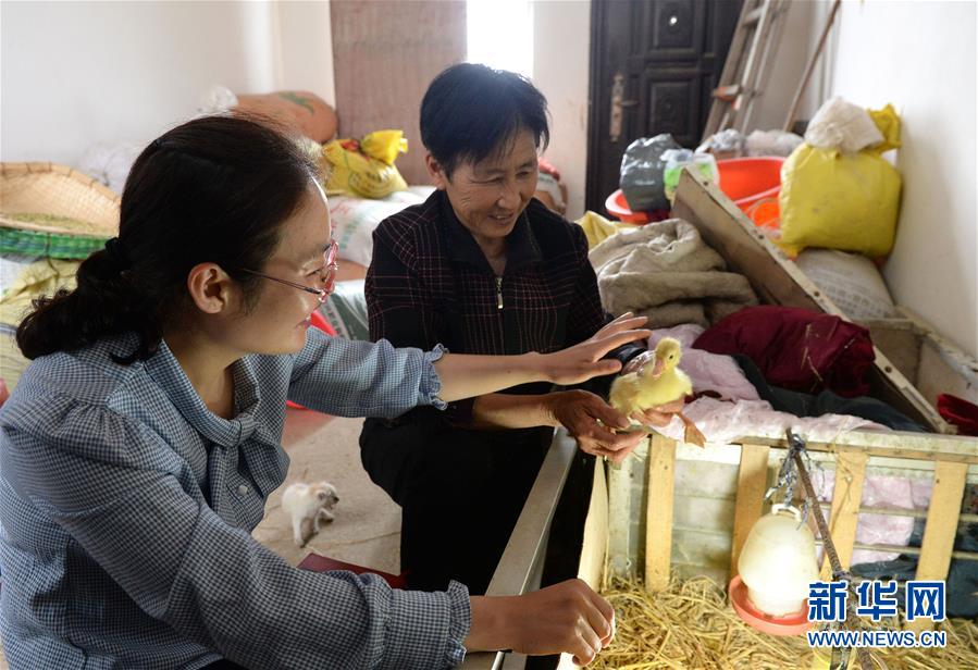 (代表委員履職)(2)全國人大代表王萌萌:產業興旺讓鄉村振興更有底氣