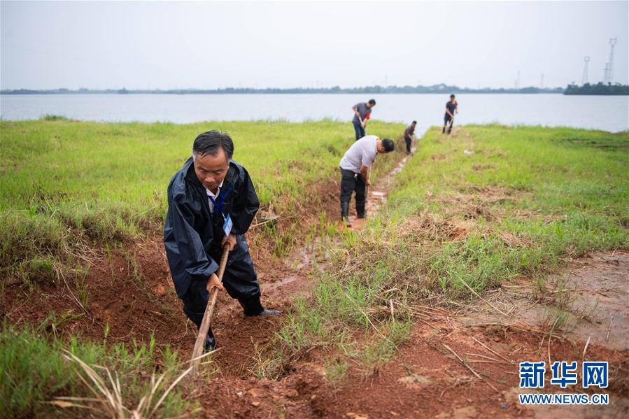（防汛抗洪&middot;圖文互動）（9）鏖戰南洞庭