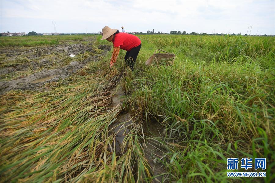 （新華全媒頭條&middot;圖文互動）（13）為了人民群眾生命財(cái)產(chǎn)安全&mdash;&mdash;聚焦關(guān)鍵時(shí)期全國防汛抗洪工作