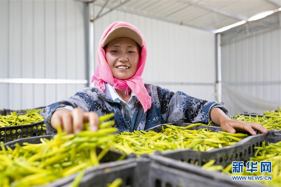 （新華全媒頭條&middot;走向我們的小康生活&middot;圖文互動）（12）23萬人的命運轉折&mdash;&mdash;我國最大易地生態移民安置區的脫貧密碼