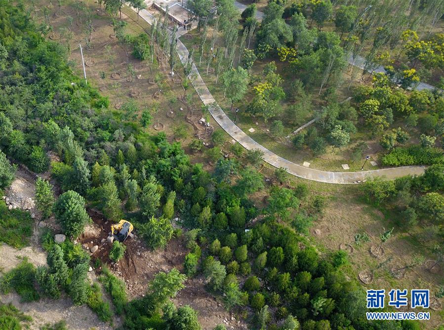 (新華全媒頭條·圖文互動(dòng))(15)扎實(shí)推進(jìn)籌辦,不負(fù)青春韶華——北京冬奧會(huì)籌辦備戰(zhàn)克服疫情影響平穩(wěn)推進(jìn)