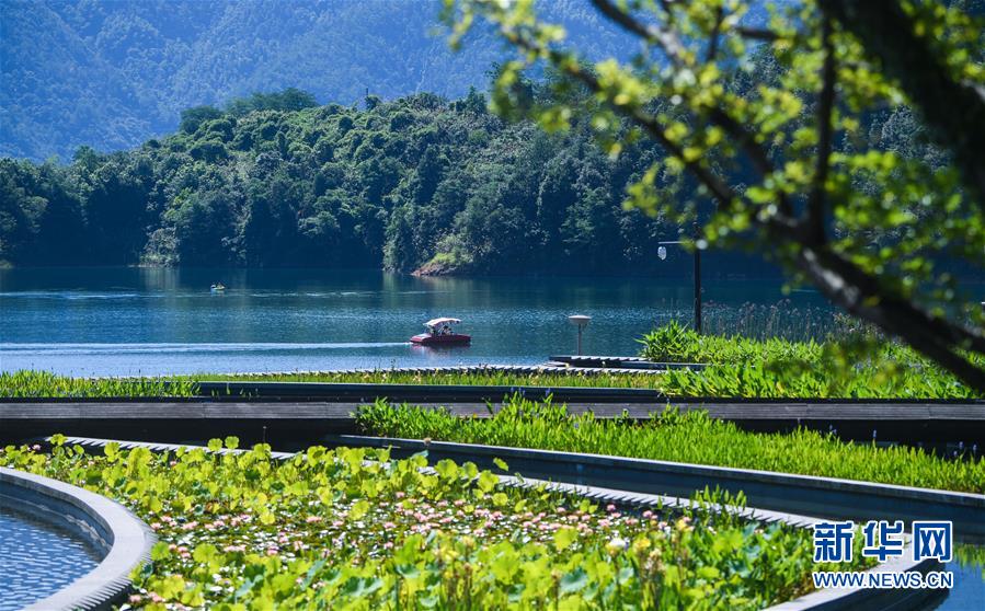 （新華全媒頭條·圖文互動）（8）生態文明之光照耀美麗中國——寫在綠水青山就是金山銀山理念提出15周年之際