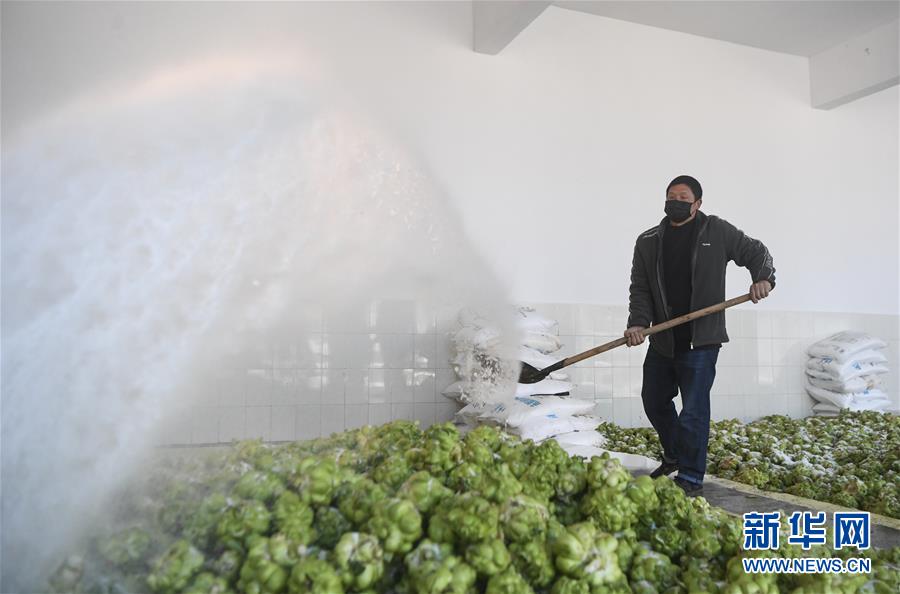 (新華全媒頭條·走向我們的小康生活·圖文互動)(6)大城大鄉的“幸福協奏曲”——重慶推動高質量發展創造高品質生活紀事