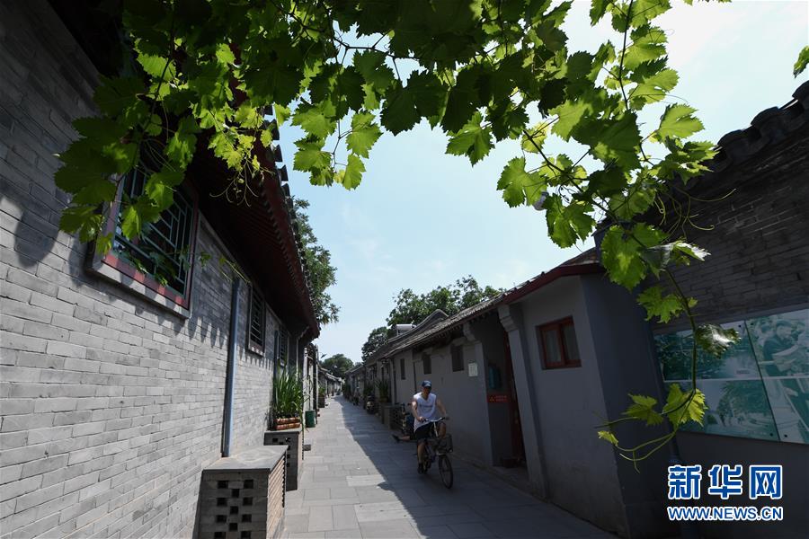 （走向我們的小康生活&middot;圖文互動）（1）小橋、流水、書香、人家&mdash;&mdash;老北京胡同里的恬靜棲居