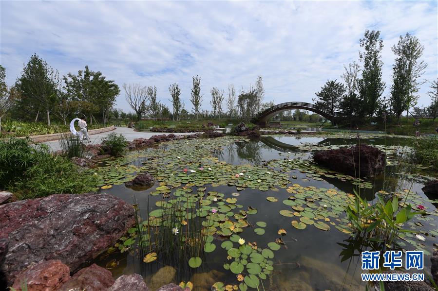 (新華全媒頭條·走向我們的小康生活·圖文互動(dòng))(1)“繡”出古都新生活——城市精細(xì)化治理的北京探索