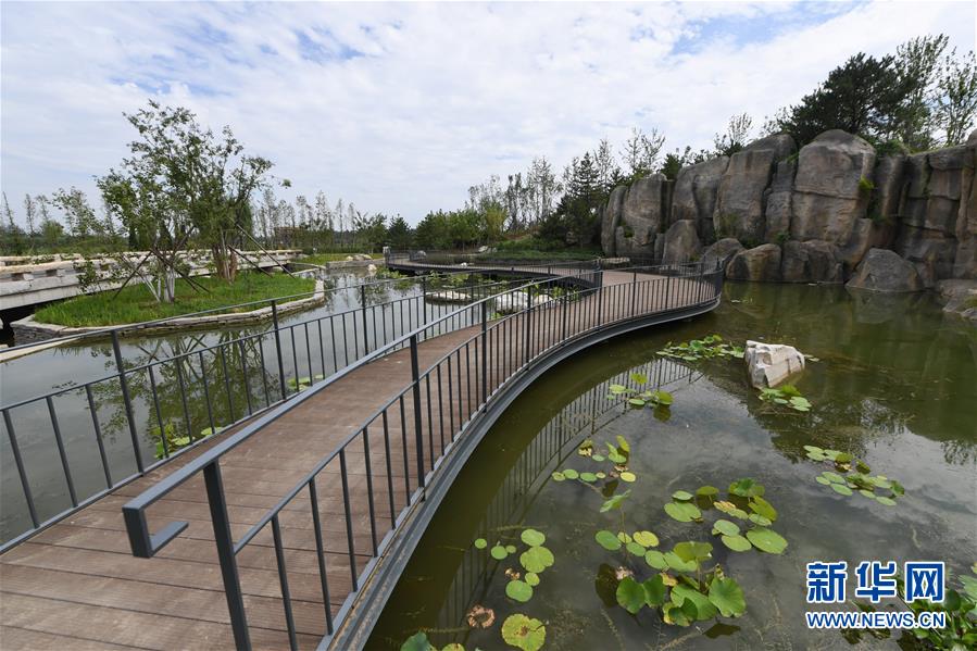 (新華全媒頭條·走向我們的小康生活·圖文互動(dòng))(2)“繡”出古都新生活——城市精細(xì)化治理的北京探索