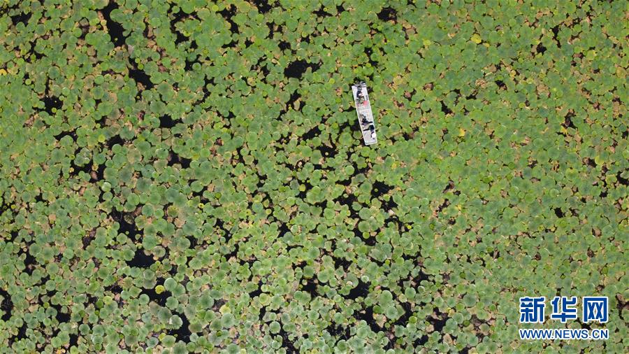 （在習(xí)近平新時(shí)代中國(guó)特色社會(huì)主義思想指引下&mdash;&mdash;新時(shí)代新作為新篇章&middot;習(xí)近平總書記關(guān)切事&middot;圖文互動(dòng)）（12）一切為了人民&mdash;&mdash;寫在全國(guó)防汛救災(zāi)取得階段性重大勝利之時(shí)