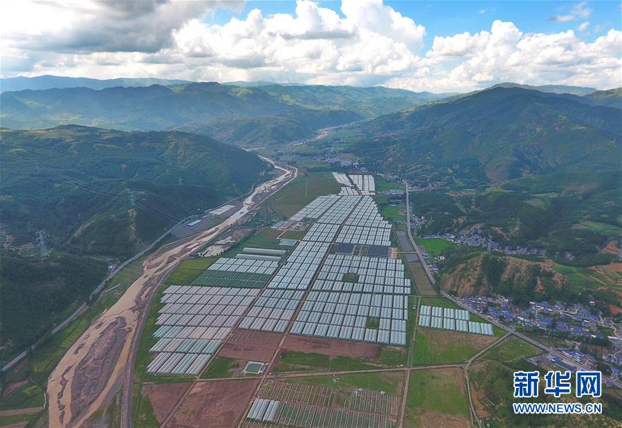 (新華全媒頭條·決戰(zhàn)決勝脫貧攻堅·督戰(zhàn)未摘帽貧困縣·圖文互動)(10)苦蕎花開大涼山——四川7個未摘帽縣脫貧攻堅一線觀察