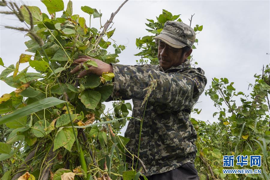 （決戰(zhàn)決勝脫貧攻堅&middot;圖文互動）（3）團結(jié)村的李輝新傳