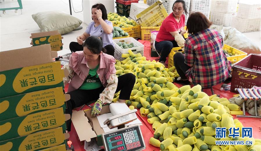 （決戰(zhàn)決勝脫貧攻堅(jiān)&middot;圖文互動）（3）同飲一江水 攜手&ldquo;斬窮根&rdquo;&mdash;&mdash;深圳對口廣西河池、百色扶貧協(xié)作見聞