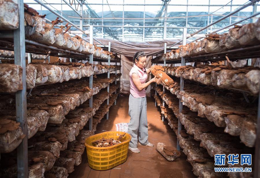 （新華全媒頭條&middot;走向我們的小康生活&middot;圖文互動(dòng)）（3）特殊之年，荊楚大地書(shū)寫(xiě)不平凡的答卷