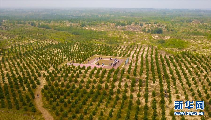 （在習(xí)近平新時(shí)代中國(guó)特色社會(huì)主義思想指引下&mdash;&mdash;新時(shí)代新作為新篇章&middot;習(xí)近平總書(shū)記關(guān)切事&middot;圖文互動(dòng)）（2）綠意，在黃沙中鋪展&mdash;&mdash;我國(guó)防沙治沙紀(jì)實(shí)