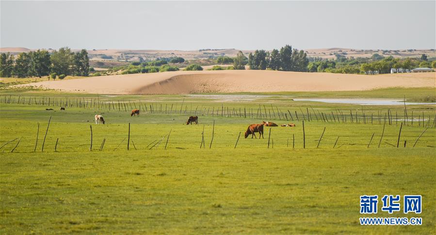 （在習(xí)近平新時(shí)代中國(guó)特色社會(huì)主義思想指引下&mdash;&mdash;新時(shí)代新作為新篇章&middot;習(xí)近平總書(shū)記關(guān)切事&middot;圖文互動(dòng)）（9）綠意，在黃沙中鋪展&mdash;&mdash;我國(guó)防沙治沙紀(jì)實(shí)