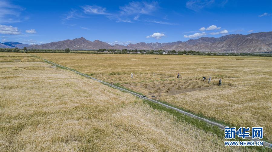 （新華全媒頭條&middot;走向我們的小康生活&middot;圖文互動）（11）扎西德勒，我們的新家園&mdash;&mdash;西藏易地扶貧搬遷搬出幸福美好新生活