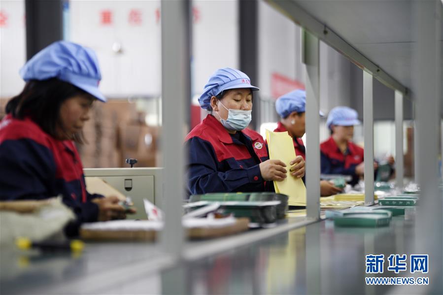 (在習近平新時代中國特色社會主義思想指引下——新時代新作為新篇章·習近平總書記關切事·圖文互動)(1)“綠色銀行”發工資、“股東”分紅來敲門……——探索長效脫貧致富新機制見聞