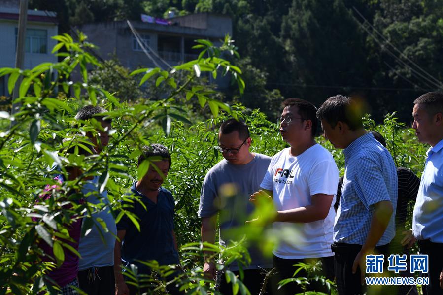 （決戰決勝脫貧攻堅&middot;圖文互動）（3）&ldquo;堵槍眼&rdquo;的脫貧戰怎么打？&mdash;&mdash;繼光村見聞
