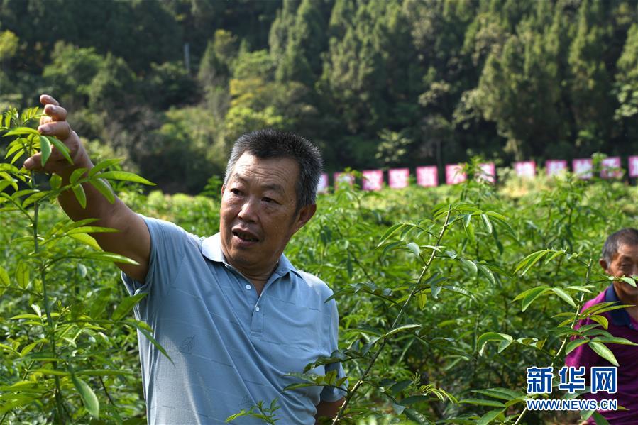 （決戰決勝脫貧攻堅&middot;圖文互動）（4）&ldquo;堵槍眼&rdquo;的脫貧戰怎么打？&mdash;&mdash;繼光村見聞