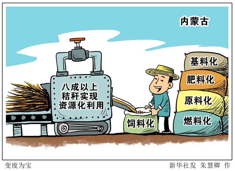 （圖表&middot;漫畫）［環境］變廢為寶