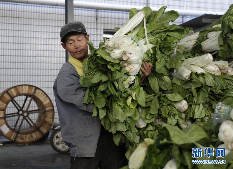 （全面建成小康社會&ldquo;百城千縣萬村調研行&rdquo;&middot;圖文互動）（3）安徽當涂：強產業抓主體促增收