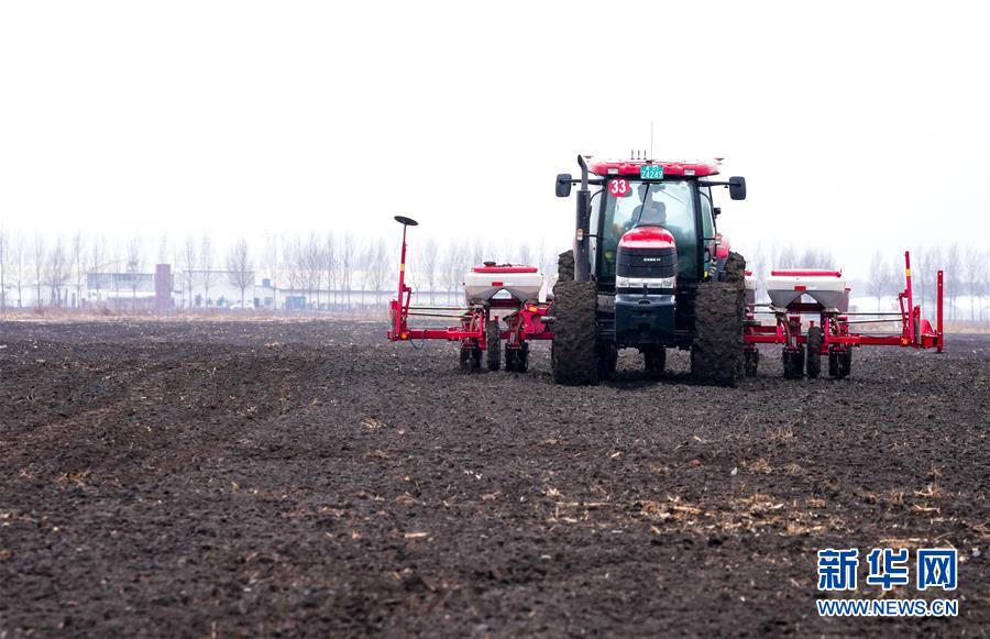 （在習近平新時代中國特色社會主義思想指引下&mdash;&mdash;新時代新作為新篇章&middot;習近平總書記關切事&middot;圖文互動）（10）春耕忙 信心足&mdash;&mdash;谷雨時節走馬東北直擊糧事