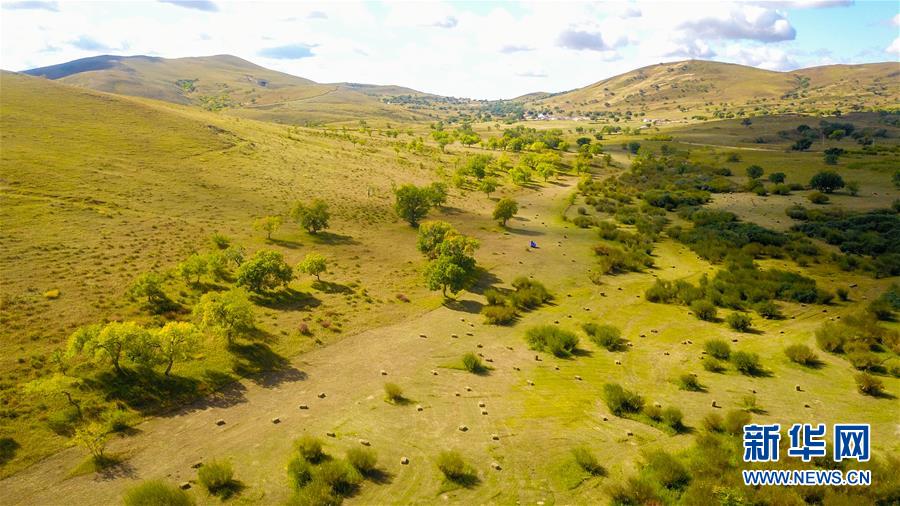 （在習近平新時代中國特色社會主義思想指引下&mdash;&mdash;新時代新作為新篇章&middot;習近平總書記關切事&middot;圖文互動）（4）綠意，在黃沙中鋪展&mdash;&mdash;我國防沙治沙紀實