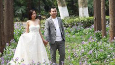 南京理工大學二月蘭盛開&ldquo;醉&rdquo;美校園