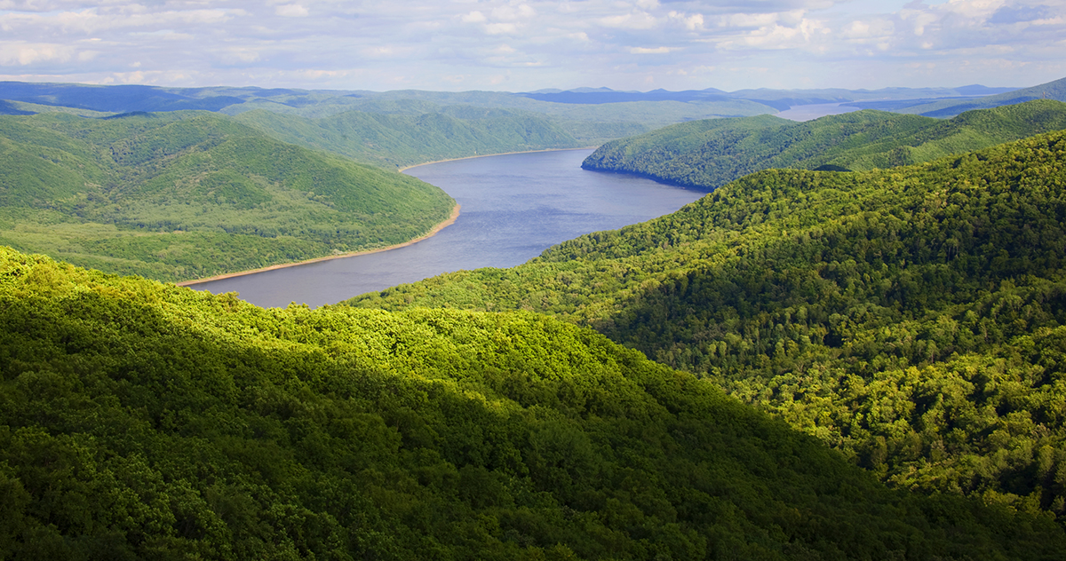 張建龍：&ldquo;三北工程&rdquo;實現(xiàn)生態(tài)、經(jīng)濟、社會效益&ldquo;多贏&rdquo;