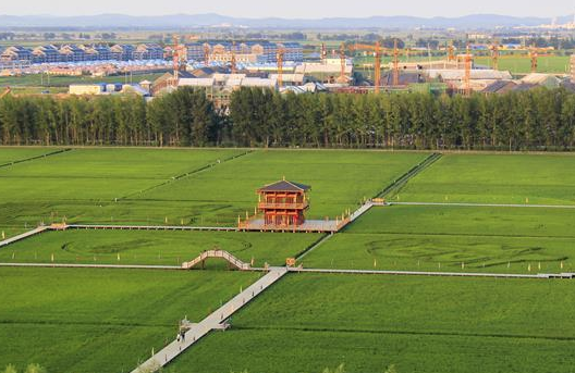 吉林孤店子鎮&ldquo;村變城&rdquo;背后的故事