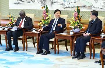 李源潮會見中非合作論壇約翰內(nèi)斯堡峰會成果落實(shí)協(xié)調(diào)人會議非方代表團(tuán)團(tuán)長