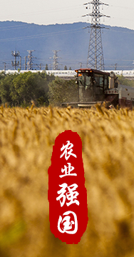 農(nóng)業(yè)強國是社會主義現(xiàn)代化強國的根基。
