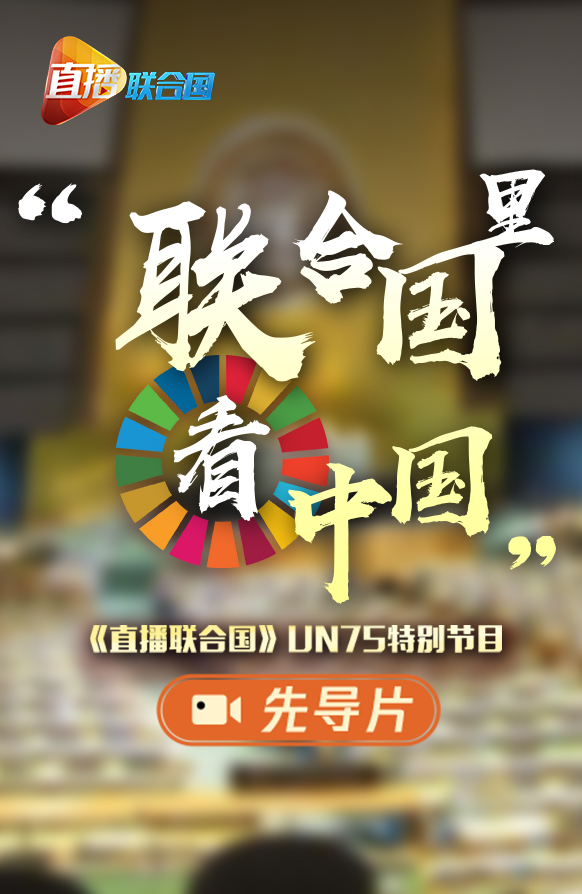 聯合國日，一起來看看他們眼中的中國