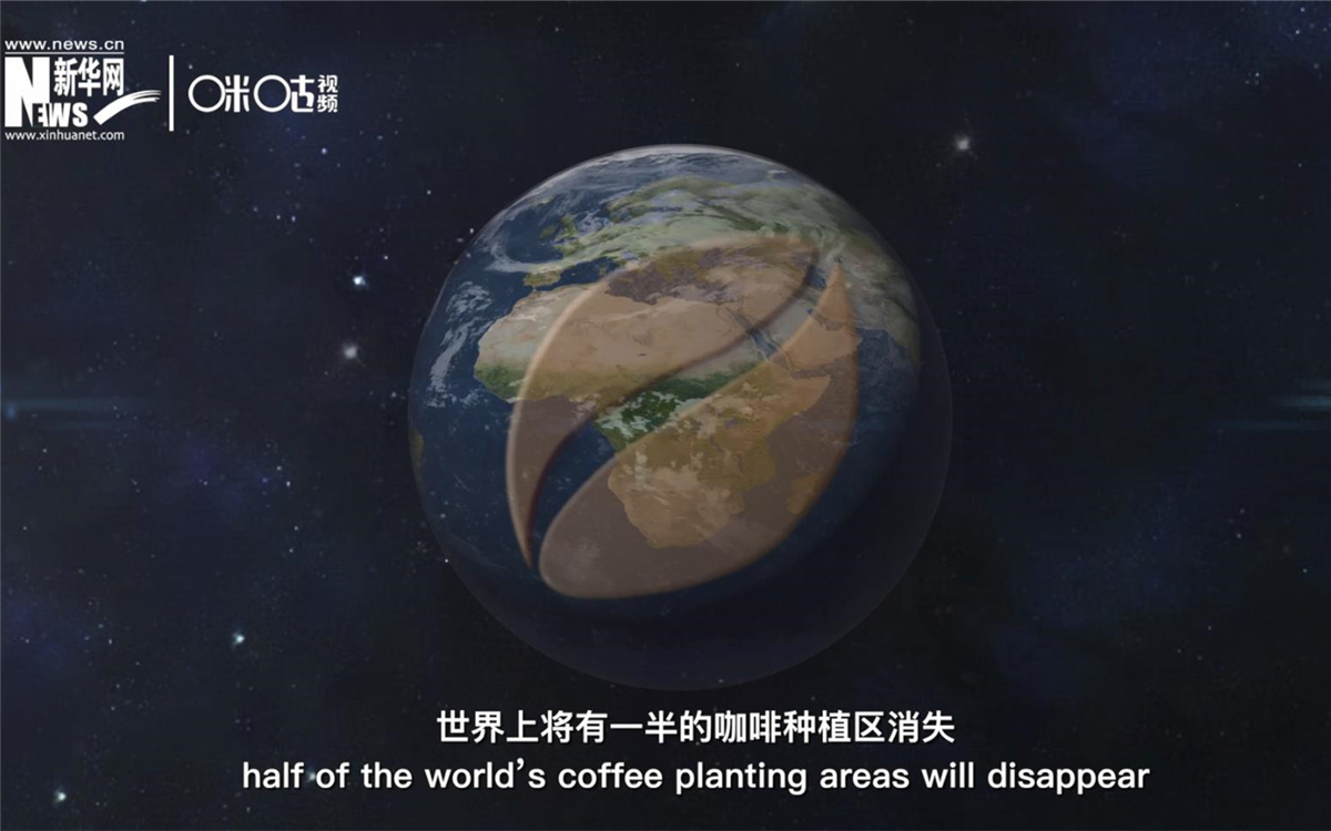 科學家預測到三十年后，世界上將有一半的咖啡種植區消失