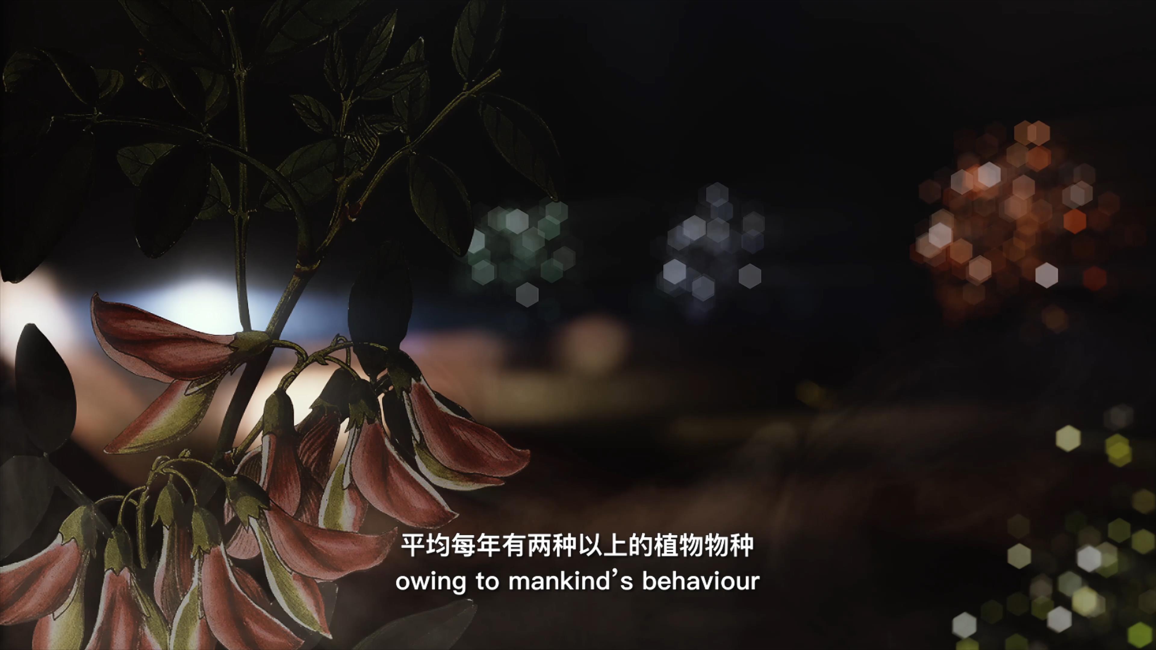 自18世紀(jì)中葉以來(lái)，許多植物物種因?yàn)槿祟惖脑蚨鴱牡厍蛏舷? />      
<div   id=