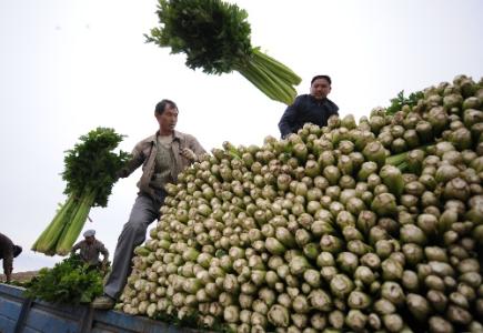 劉永富:發(fā)展產(chǎn)業(yè)脫貧仍是精準(zhǔn)扶貧、精準(zhǔn)脫貧主攻方向