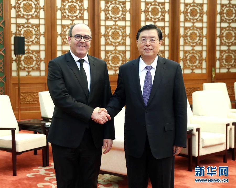 12月20日，全國(guó)人大常委會(huì)委員長(zhǎng)張德江在北京人民大會(huì)堂會(huì)見(jiàn)摩洛哥參議長(zhǎng)本希馬。新華社記者劉衛(wèi)兵攝