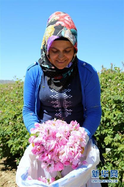 （國際&middot;圖文互動）通訊：土耳其&ldquo;玫瑰經濟&rdquo;看好中國市場