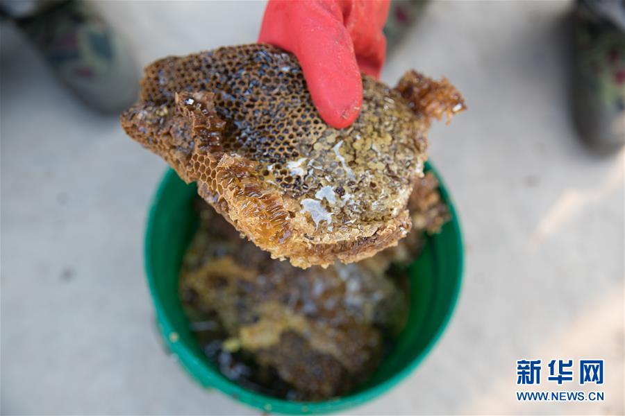 （國際&middot;聚焦進口博覽會&middot;圖文互動）（7）通訊：贊比亞蜂蜜企業欲借進博會開拓中國市場