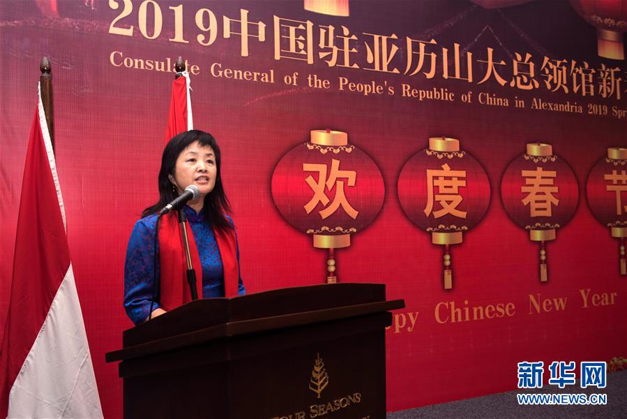 (XHDW·圖文互動)(3)五湖迎亥歲 四海賀新春——我駐外使領館舉辦新春招待會喜迎農(nóng)歷新年