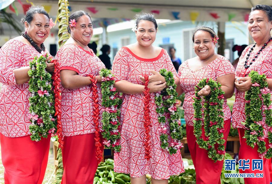 （國際&middot;圖文互動）（2）&ldquo;中國-太平洋島國旅游年&rdquo;成果顯著