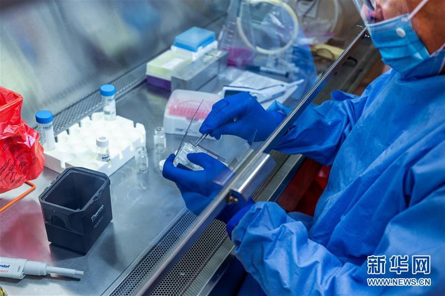 （新華全媒頭條&middot;圖文互動）（3）為人類戰疫打造最有力的武器&mdash;&mdash;全球合力加速研發新冠疫苗