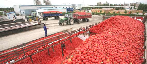 中國推動(dòng)構(gòu)建共贏、互信、發(fā)展的新絲綢之路