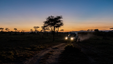 與獅同行&mdash;&mdash;東非草原上的中國(guó)追夢(mèng)人