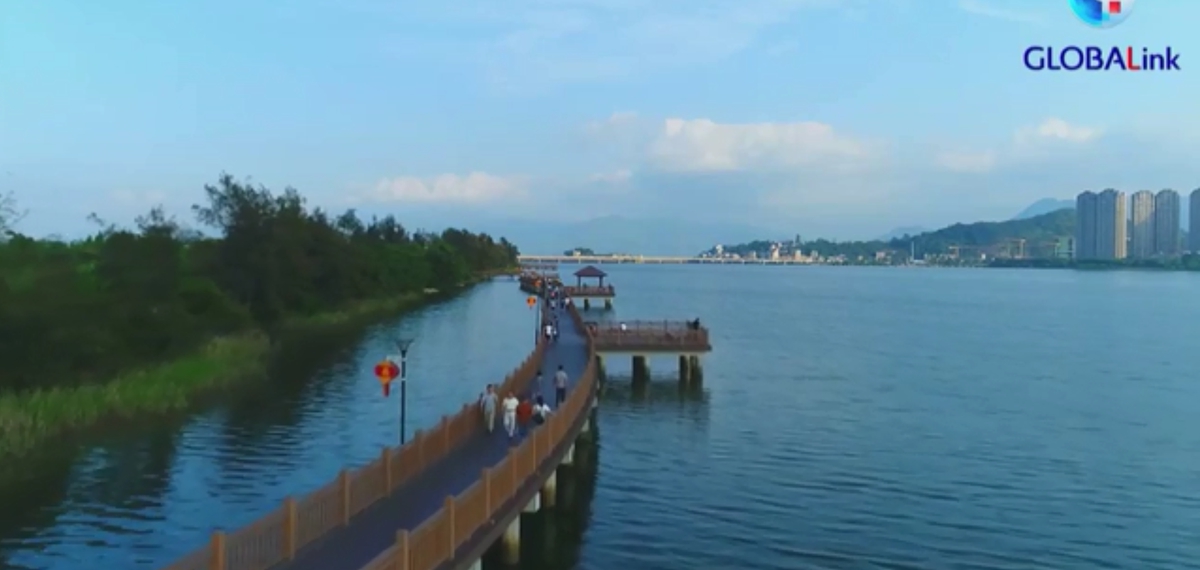 全球連線 | 南非非國(guó)大副總書記杜爾蒂：成就樹(shù)立榜樣 經(jīng)驗(yàn)值得借鑒